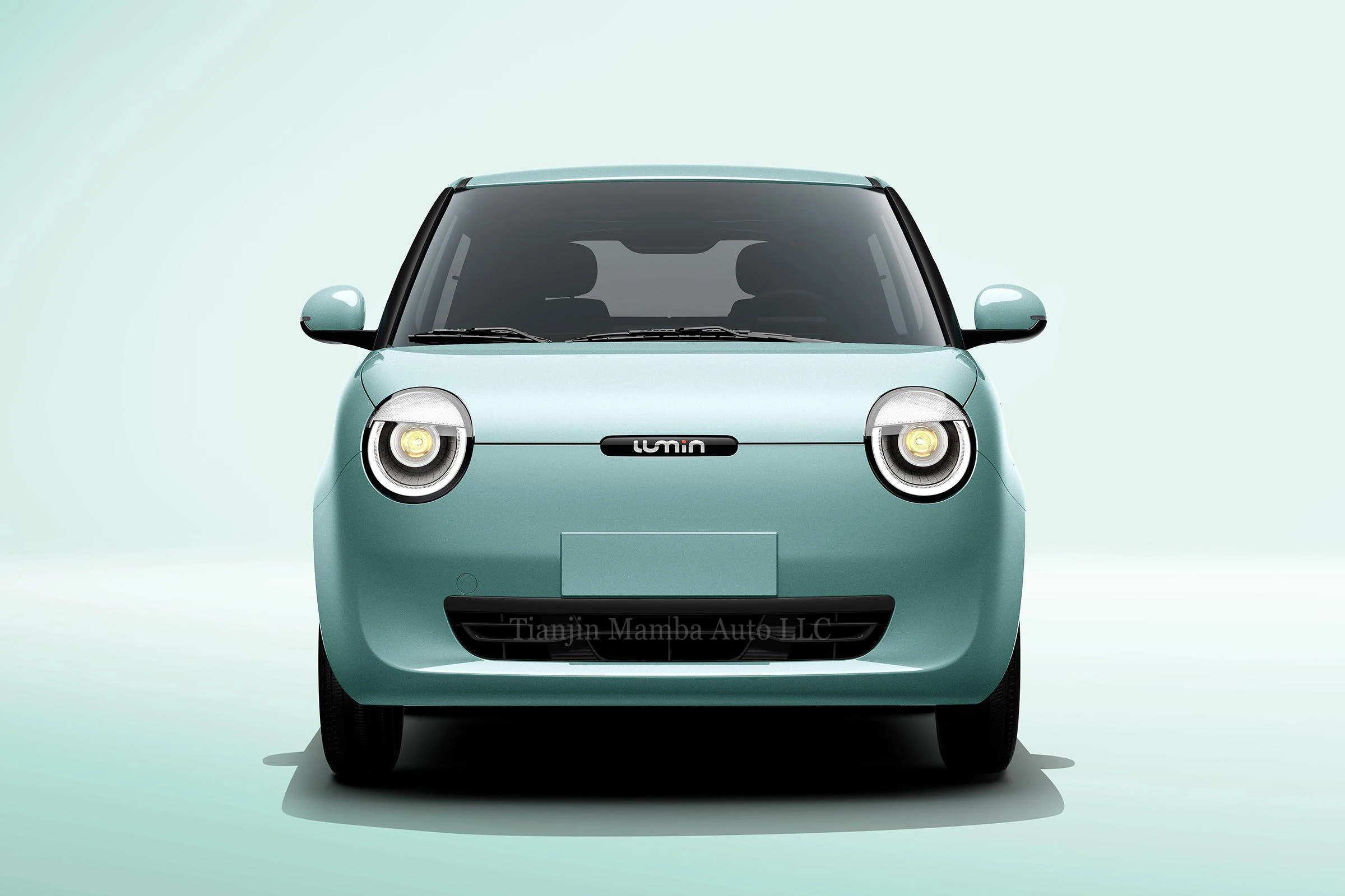 Hot Sale Green Energy 4 Seats Car Changan Car New Electric Car for sale