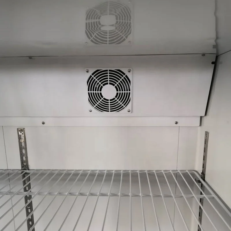 Commercial refrigerator 2 glass door cold beverage fresh food showcase supermarket retail upright display freezer