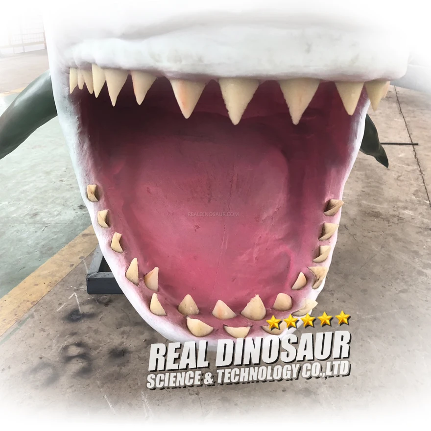 6M Simulation Mechanical Model Shark Model
