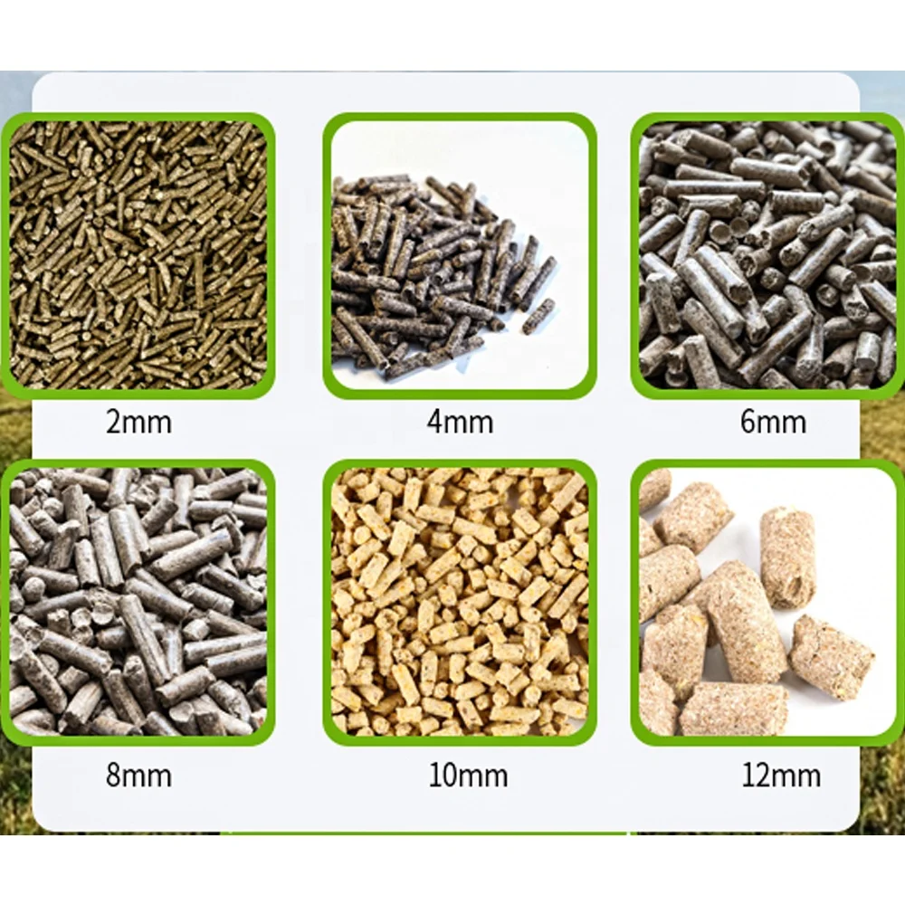 Ronda 10 ton/h High Quality Factory price 55kw  pellet machine of animal feed for chicken pig feed making