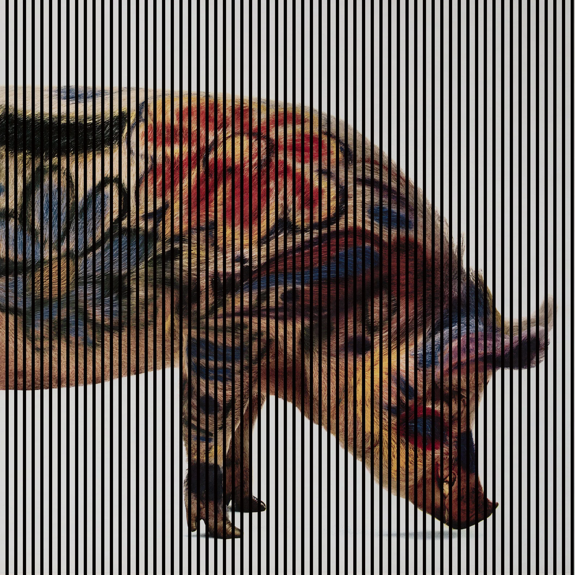 Акустическая облицовка с изображением животных