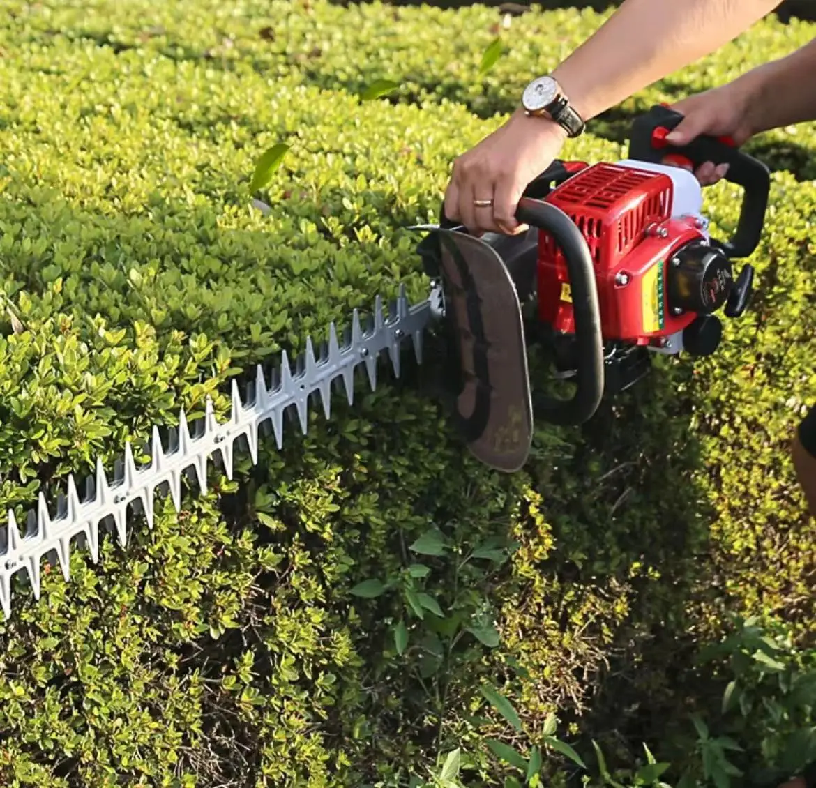 High Quality Popular Garden Tools Hedge Trimmer Hedge Gas Gasoline Two Stroke Gasoline Hedge Trimmer