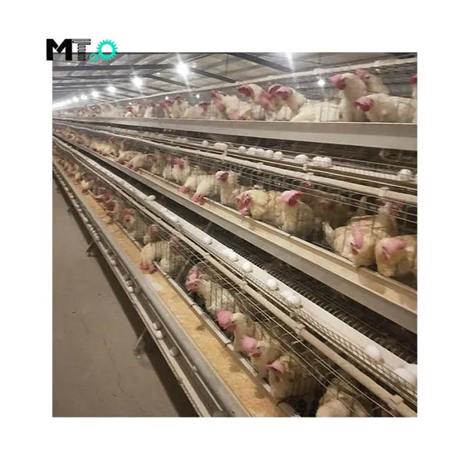Горячая Распродажа 2020, клетка для кур, использованная батарея, автоматический слой клетки для кур