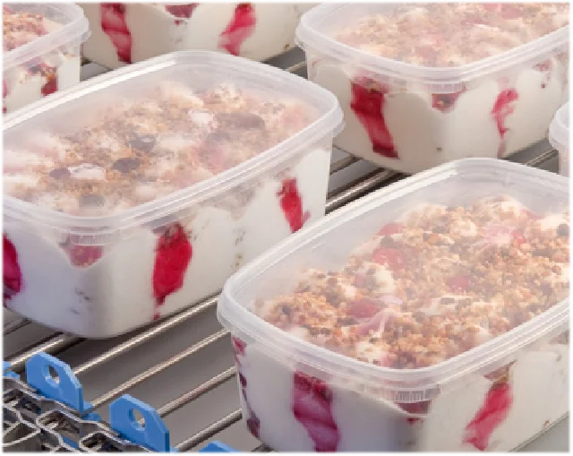 Professional Design Tunnel Type Blast Freezer IQF Freezing Machine Flash Freezing Machine