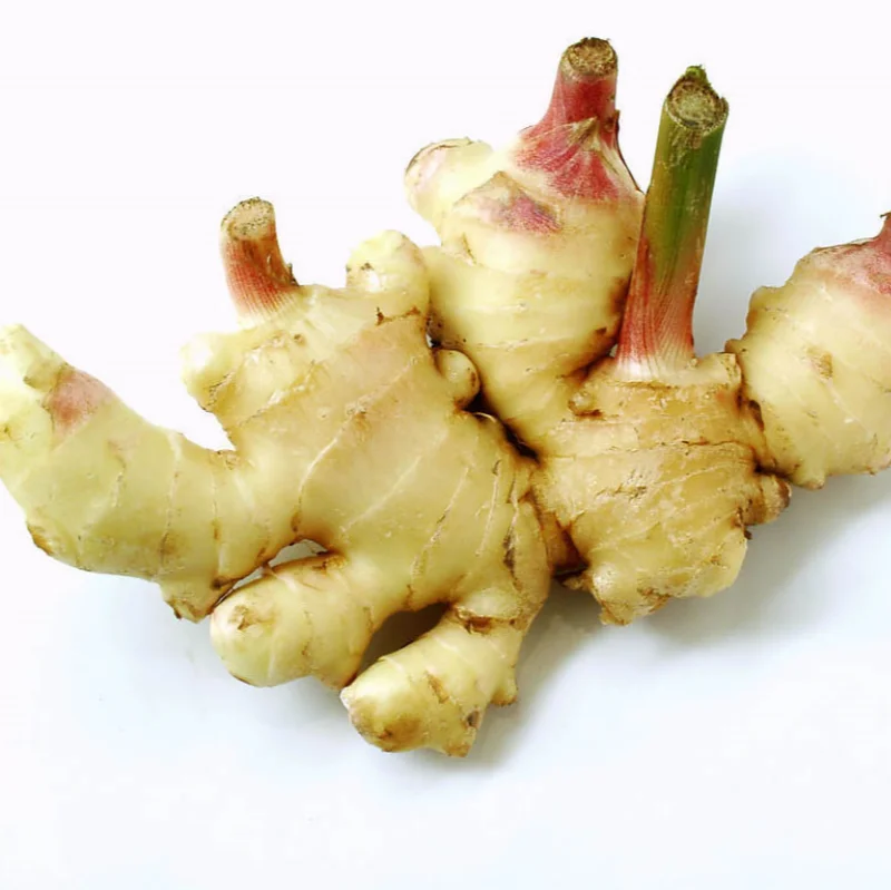 fresh organic ginger supplier