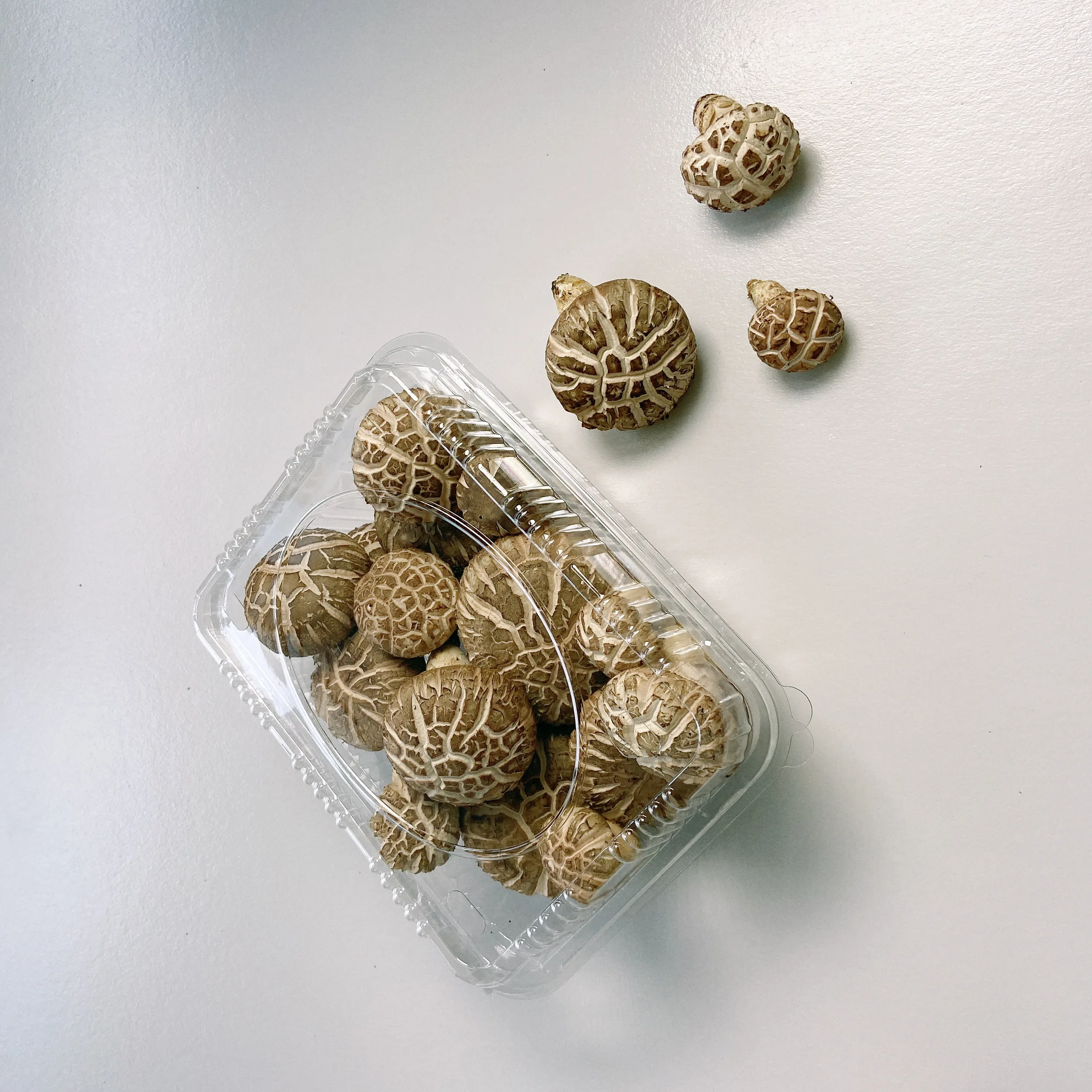 High Quality Round Umbrella-shaped Buy Healthy Dried Shiitake Mushrooms
