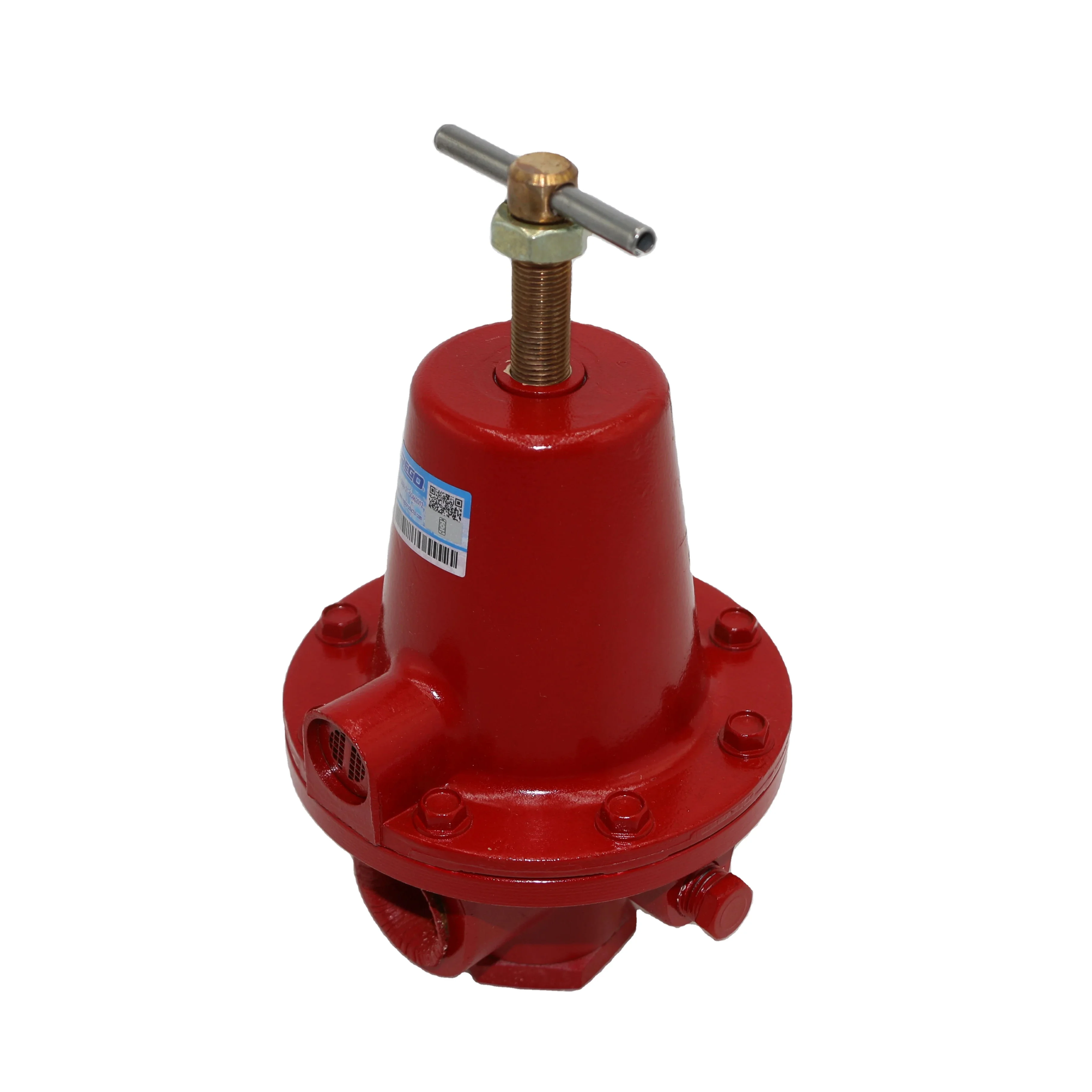 Industrial Burner LPG high pressure reducing valve Rego gas regulator valves for gas boiler parts industrial