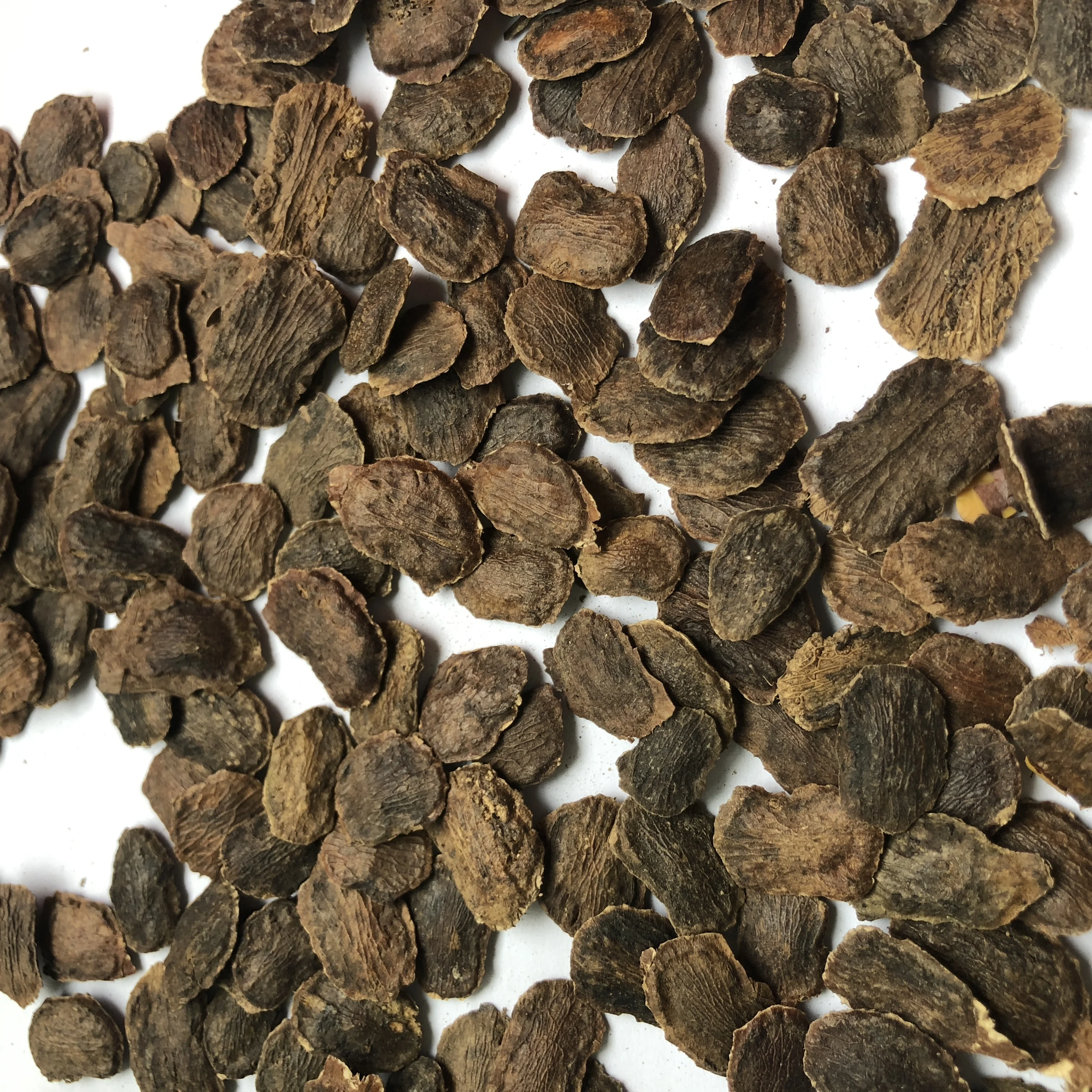 
S345 Supply Hai Nan Dalbergia Odorifera Seeds For Planting 