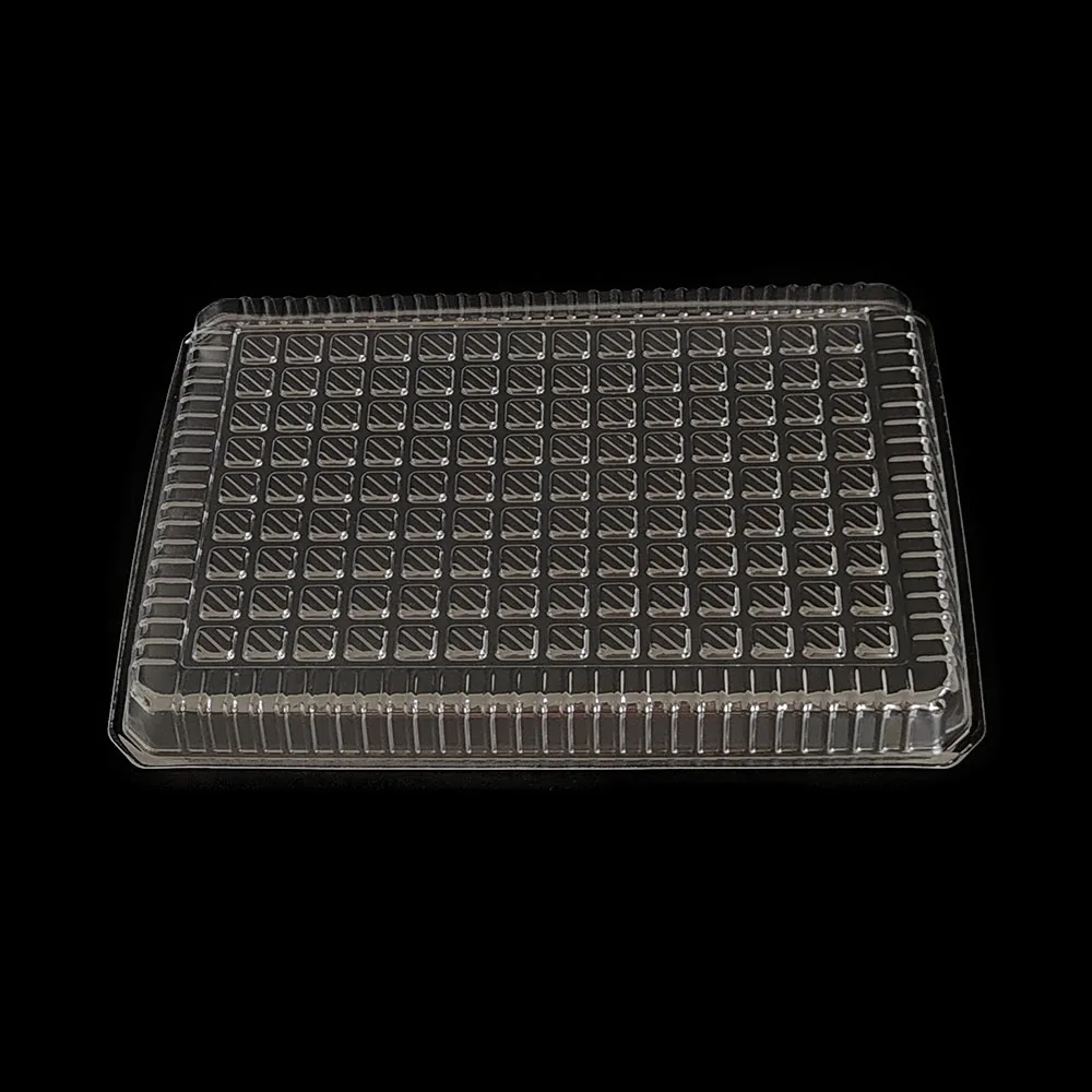 Rectangular Disposable Plastic Food Container Blister Mushroom Packaging Square Pattern Pet Packing tray