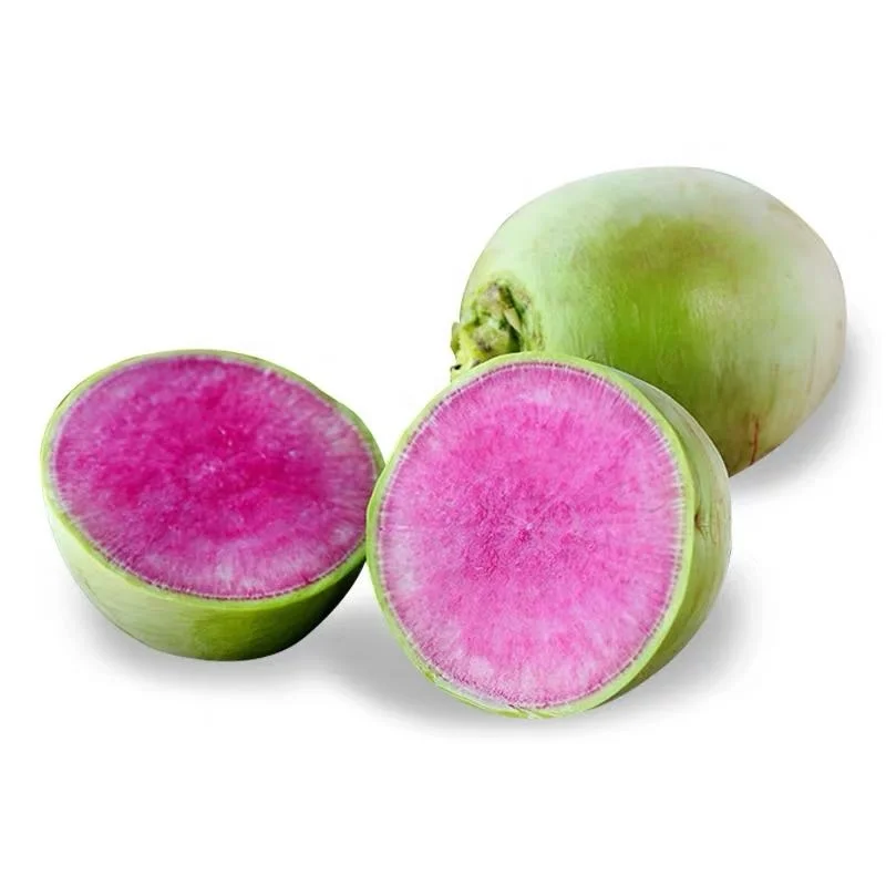 
High Germination High Quality Watermelon Radish Seed F1 Hybrid for planting 