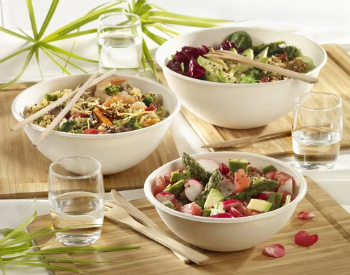 Compostable sugarcane dinnerware bowls disposable biodegradable bagasse tableware