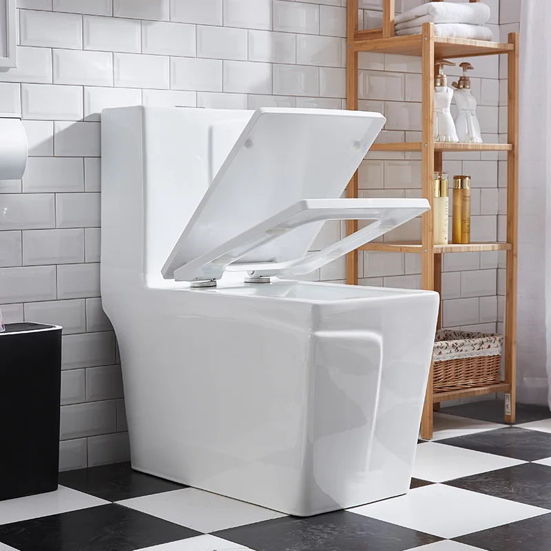 Modern Design two piece washdown with step Two-piece Toilet twyford ghana toilet party