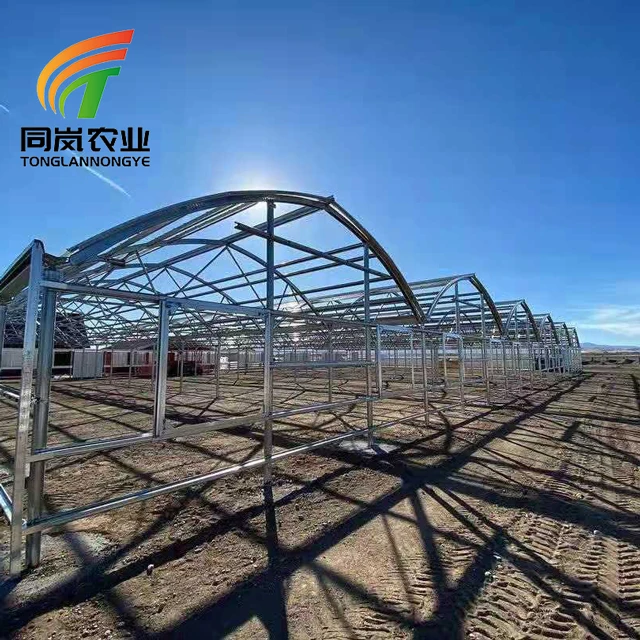 Multi-span Greenhouse Was Used To Grow Fruits And Vegetables In a Snow Resistant And Durable Hot Dip Galvanized Greenhouse