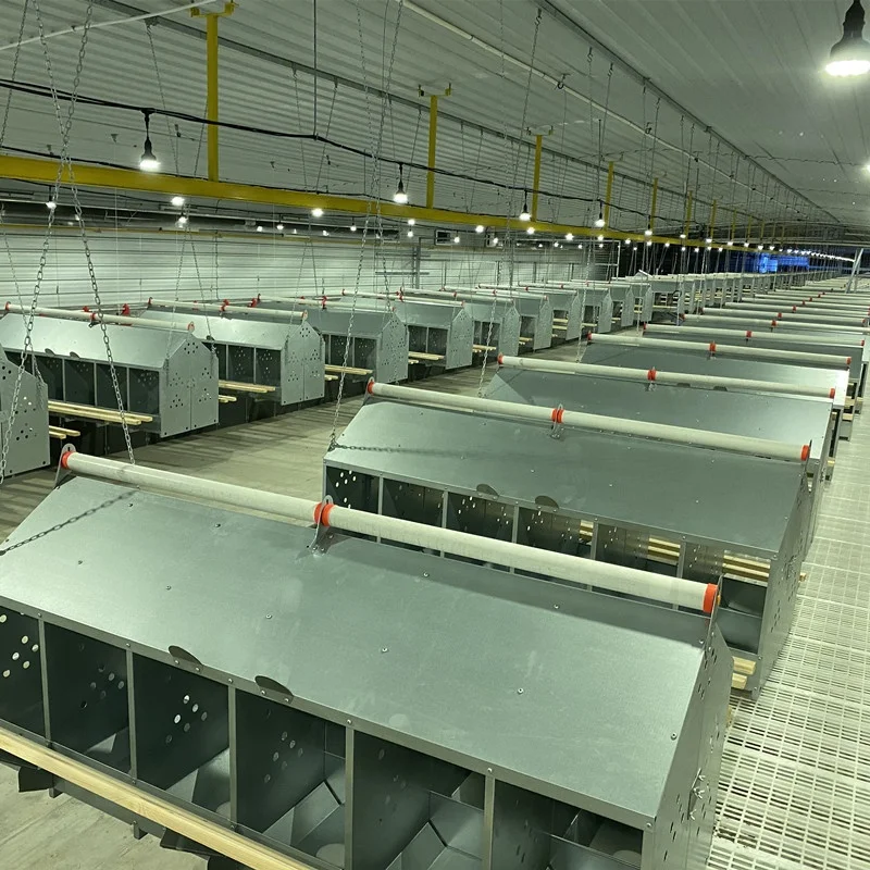 Poultry Equipment Hens layer Coop Farm House  Breeder Nesting 24 Holes Nest Boxes Chicken Laying Egg Nesting Box for