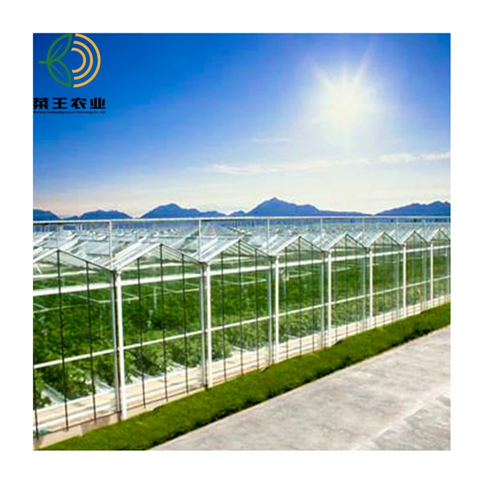  China Factory Price Plastic Sheet Green House for Vegetables Fruits
