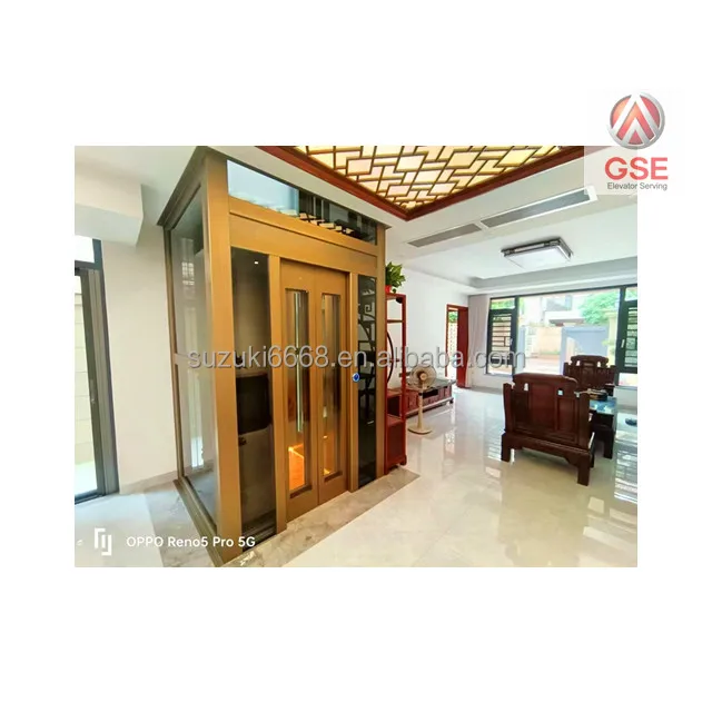 GSE Selling elevators for homes Suzuki elevator Small Villa Indoor Elevator Outdoor