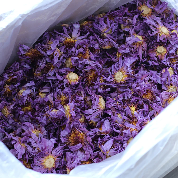 dried blue lotus (3)