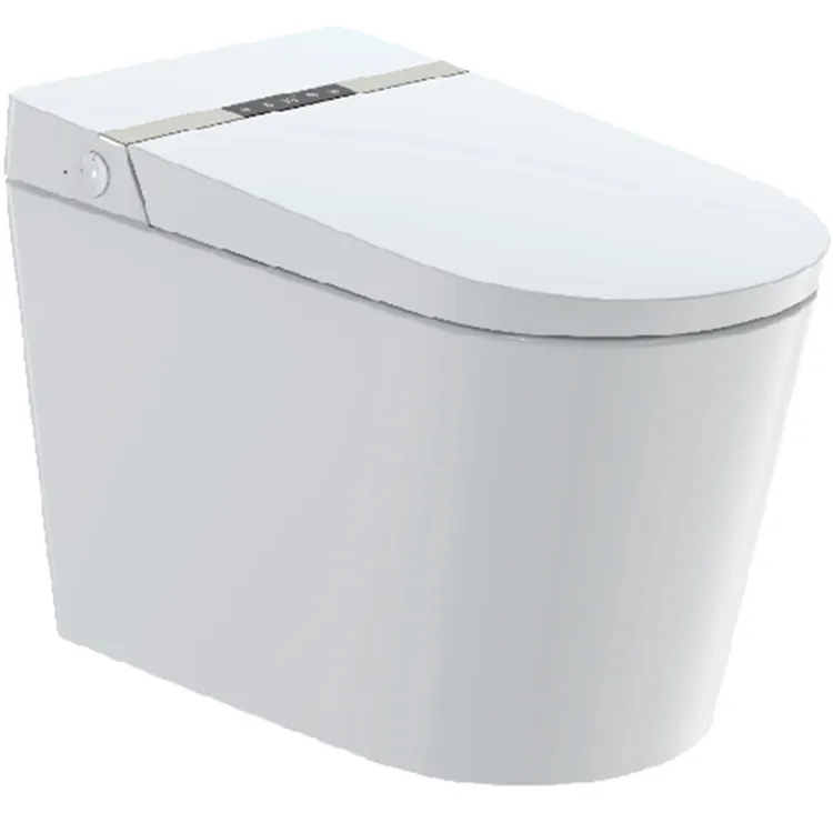 Sanitary ware smart toilet intelligent wc floor mounted toilet bowl bathroom electric bidet