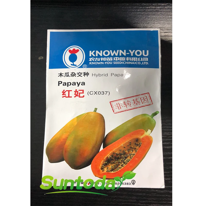 
Suntoday Non GMO Muguazhongzi hybrid taiwan red lady papaya seeds 