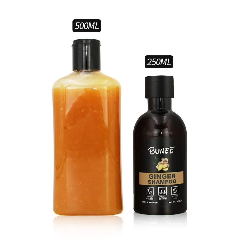 Aromatherapy Hydrating Relaxing Refreshing Free Sulfate Anti-itching Rose Organic Argan Oil Extract Hair Shampoo For Woman 400ml