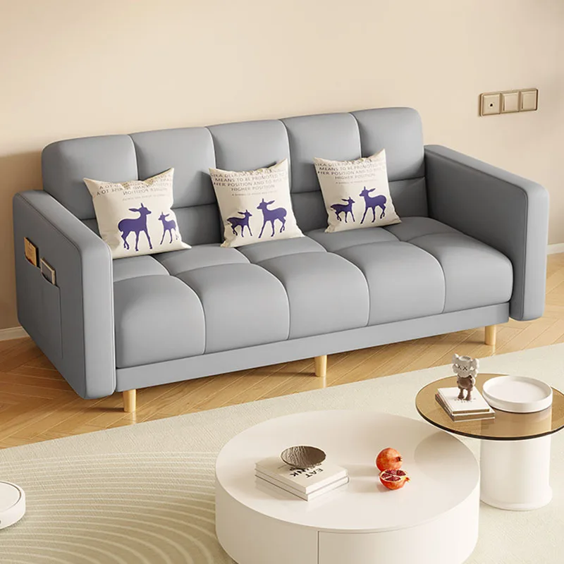 Modern Simple Design Sofa Bed Foldable Sofa 2024 New Single Fabric Living Room Furniture Soft Small Sofa
