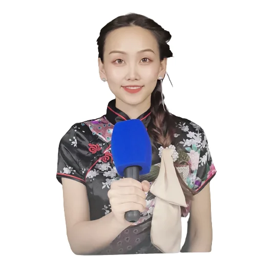 Dyed Mic Foam Microphone Windscreen Filter Triangle Round and Square Mic Foam Cover for various Microphone