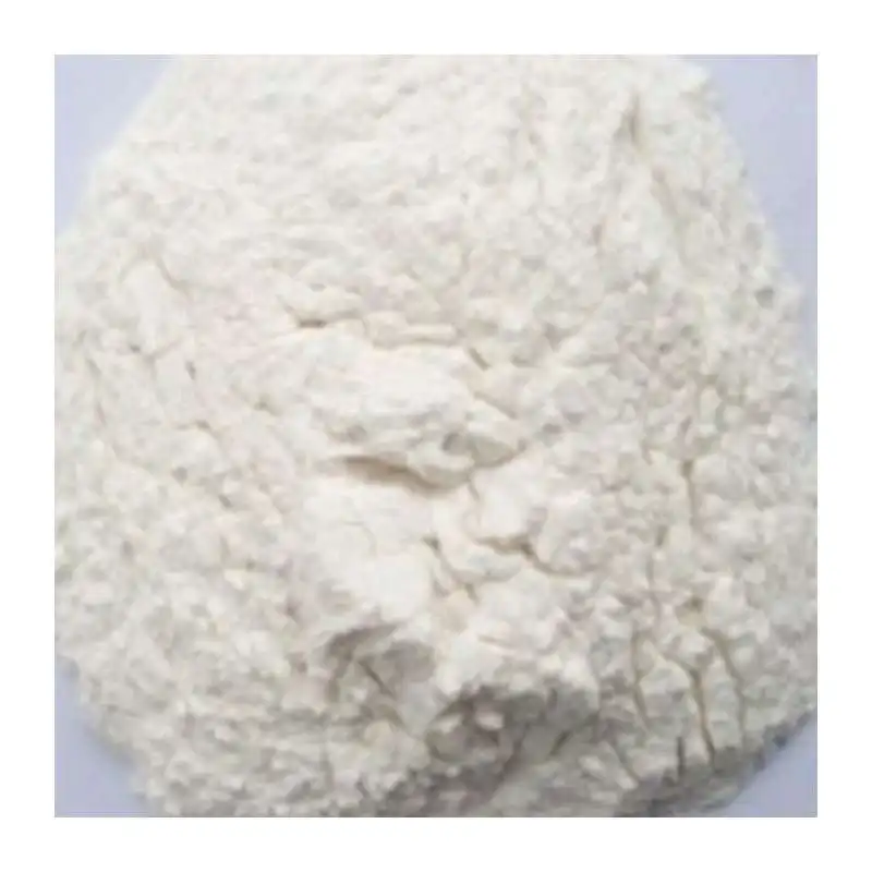 Hot Sale 2022 Dehydrated garlic Dried vegetable powder
