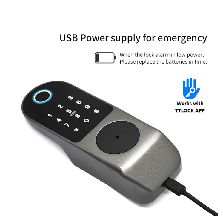 Waterproof Digital Outdoor Large Gate Smart Home TTlock APP Control Metal Door Lock