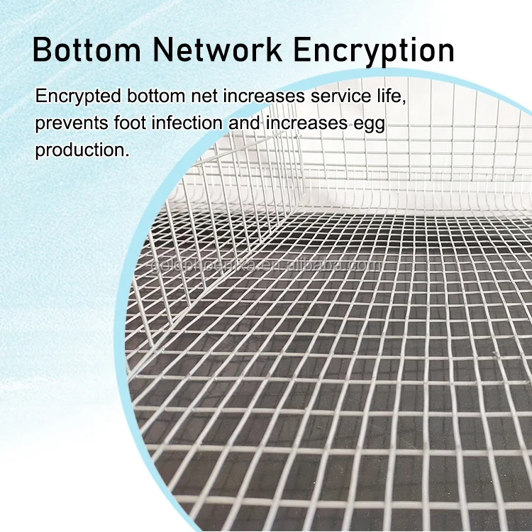 YYC full set automatic feces clearing and egg rolling chick quail breeding cage