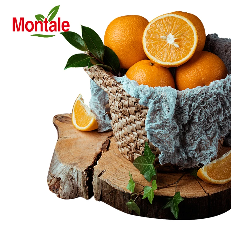 Montale  newest Wholesale best newhall orange new market fresh orange
