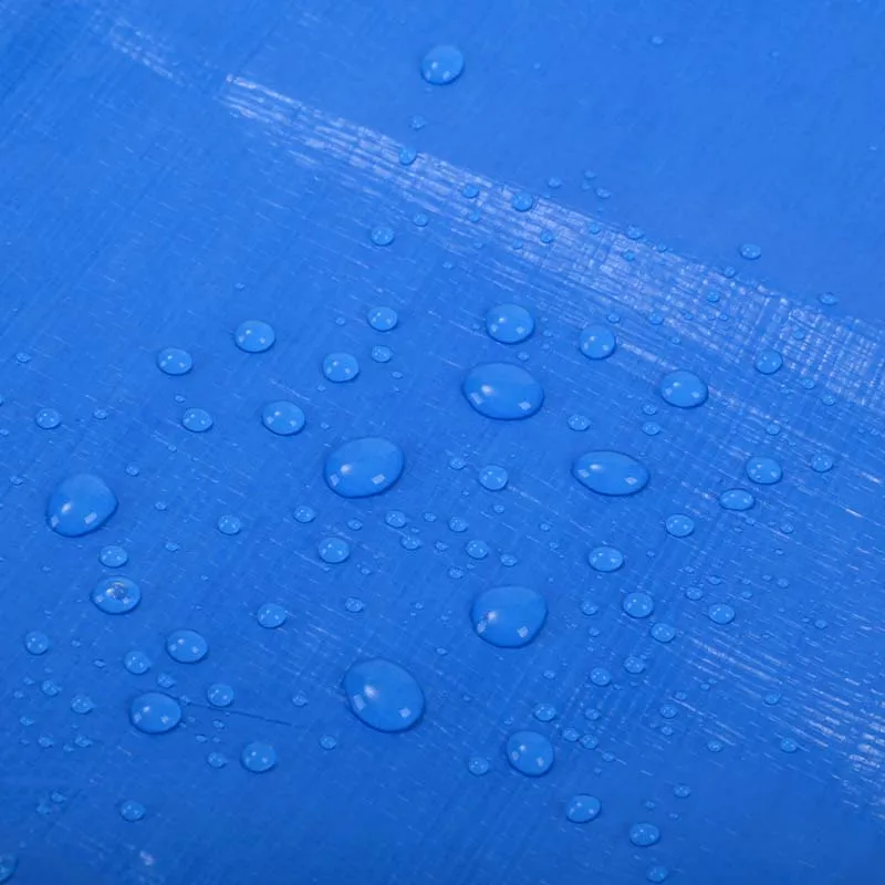 Hot Sale Eco-friendly Waterproof blue PE tarpaulin price