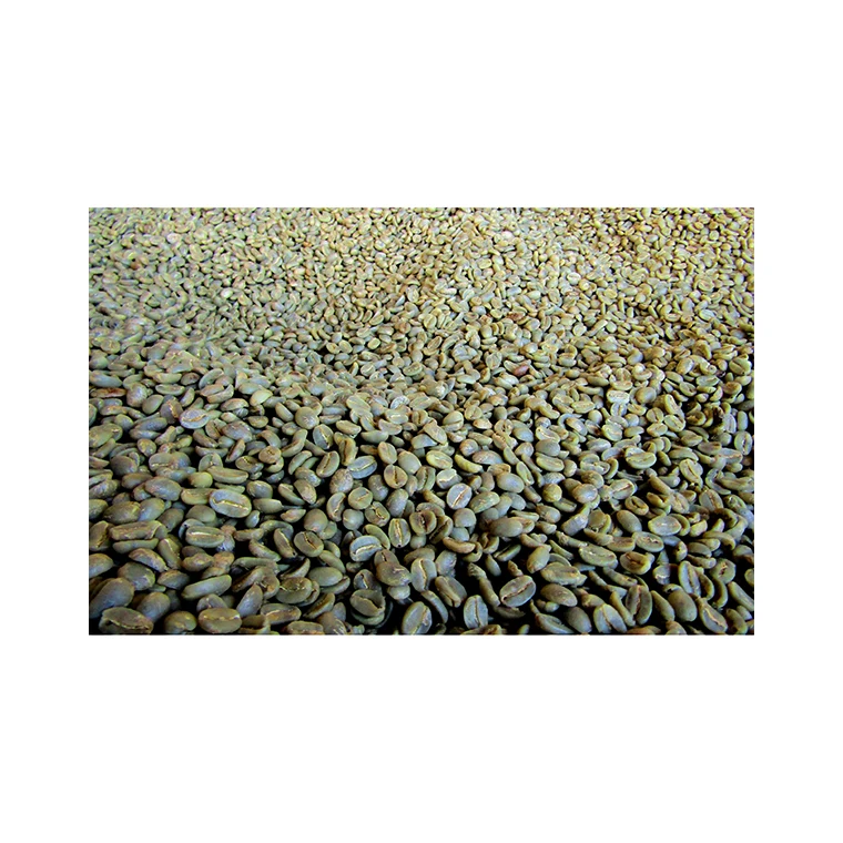 
High quality dried import coffee raw beans from America for sale 