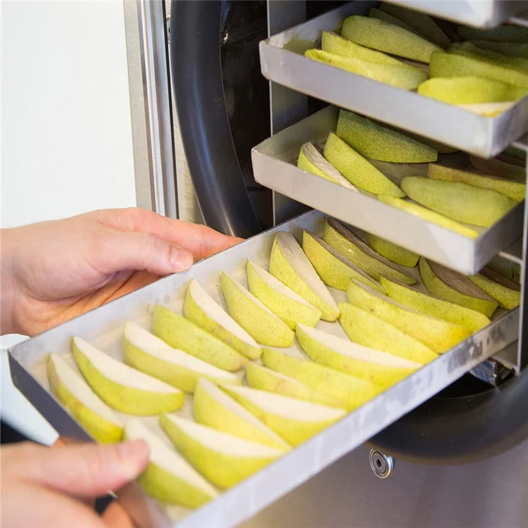 TCA High Quality Freeze Dry Machine small dry freezers freeze dry freeze dried candy machine