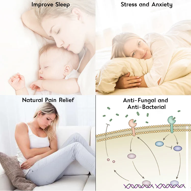 Manufacture Supply  100% Pure Frankincense Essential Oil Bulk