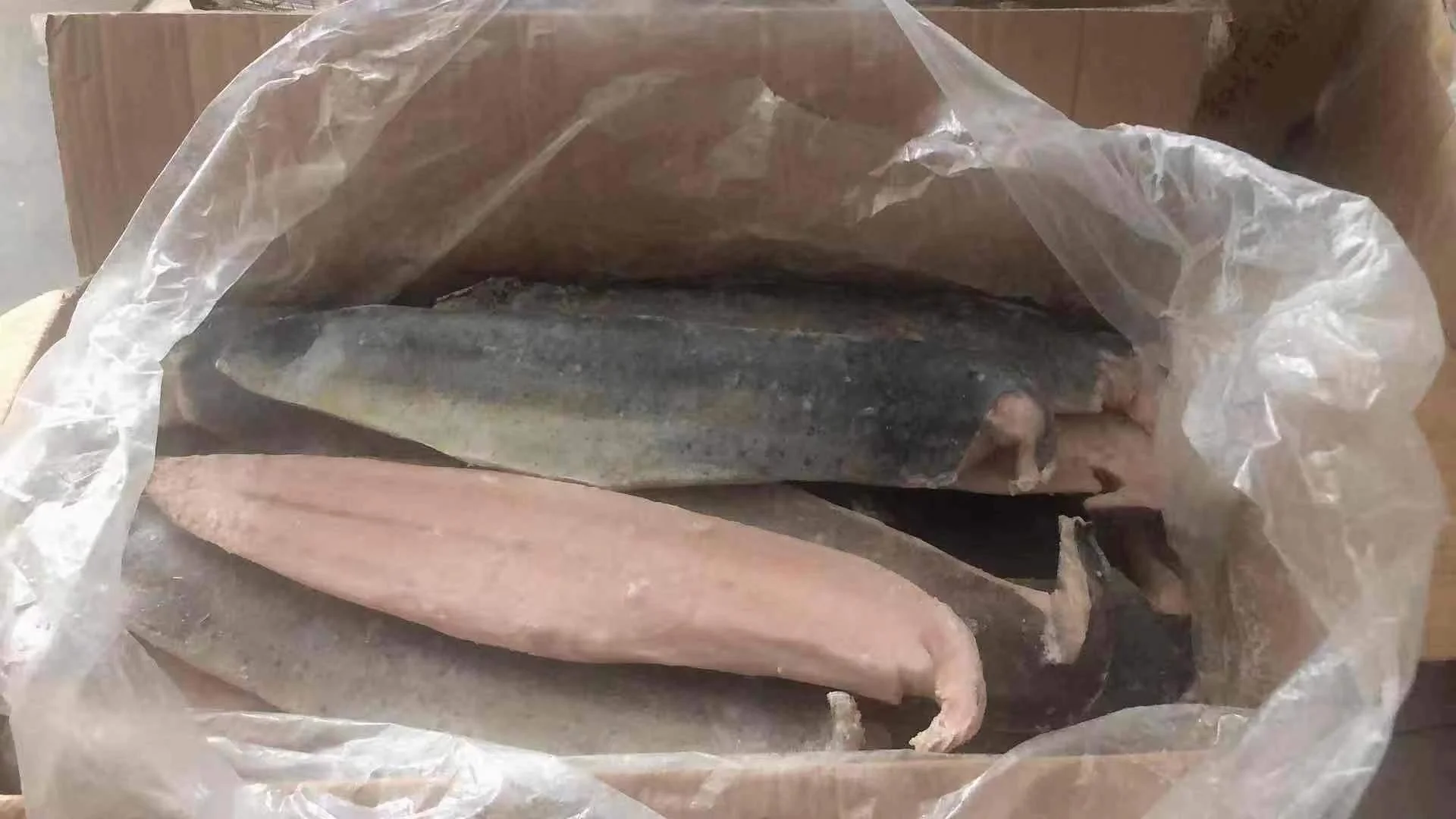 SEAFOOD Mahi mahi fish fillet/Mahi Mahi fish/frozen mahi mahi