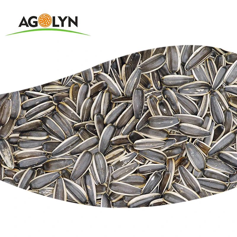 Chinese Sunflower Seeds Wholesale Supplier For Sunflower seeds Ton Price
