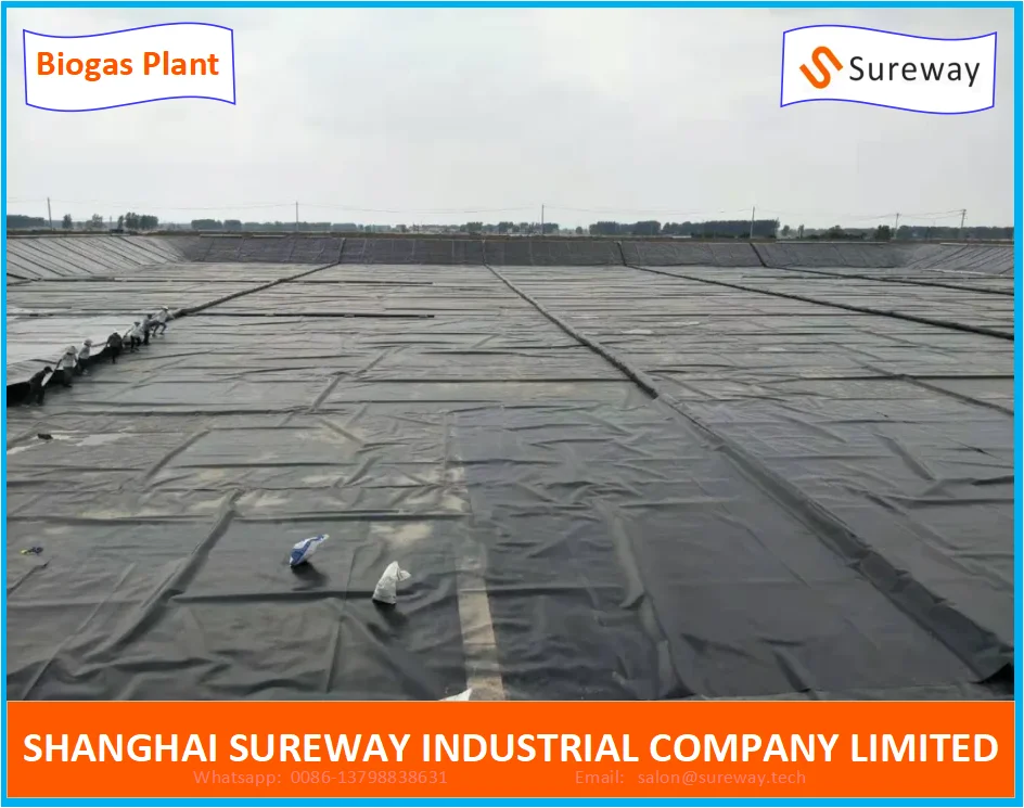 Anaerobic Lagoon Digester Biogas Plant by HDPE Geomembrane for a Starch Plant
