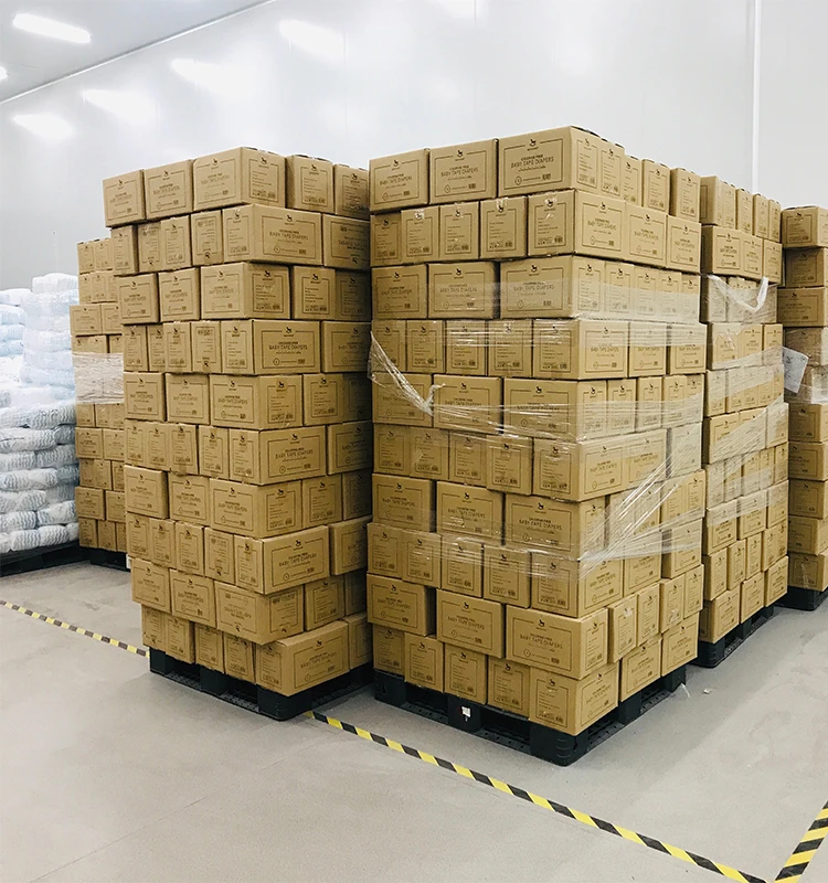 FOCUS Brand OEM Disposable Baby Diaper Bulk Manufacturer Wholesale High Quality A Grade Baby Diapers Customized Size Baby Diaper