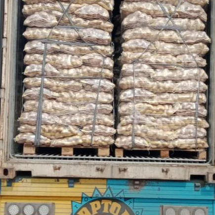 Fresh Potato, Potatoes , Spunta , Washed, Clean Potatoes
