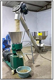 maize milling machine(3).jpg