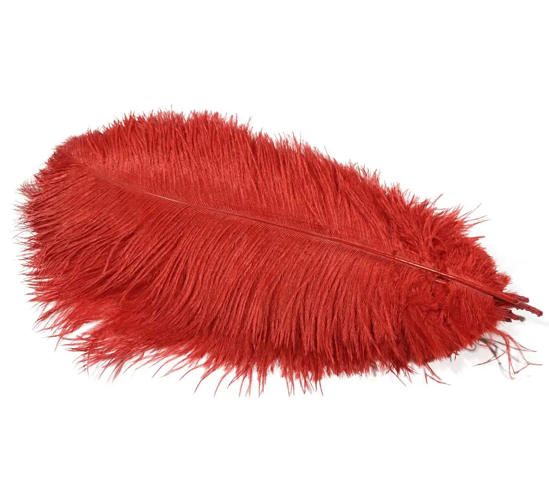 Ostrich Feathers 15-60cm Bulk Natural Plume Home Wedding Decoration Factory wholesale