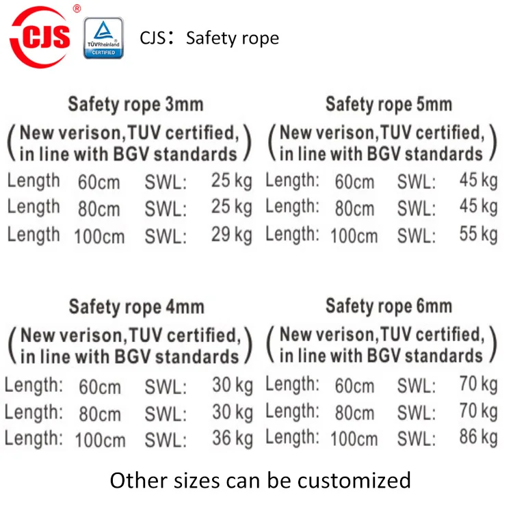 Exhibition Party black silver Ceiling Hook stage truss Hanging System Safety Cable Truss accessories rope