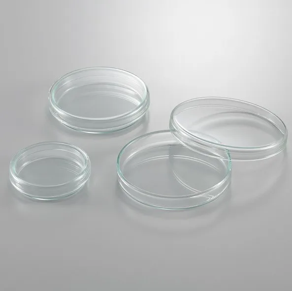High Borosilicate Glass Plant Culture Dish Chemical Experiment Culture Dish
