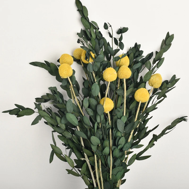 Amazon Top Seller Golden Ball Craspedia Eucalyptus Wedding Decoration Dried Flower Bouquet