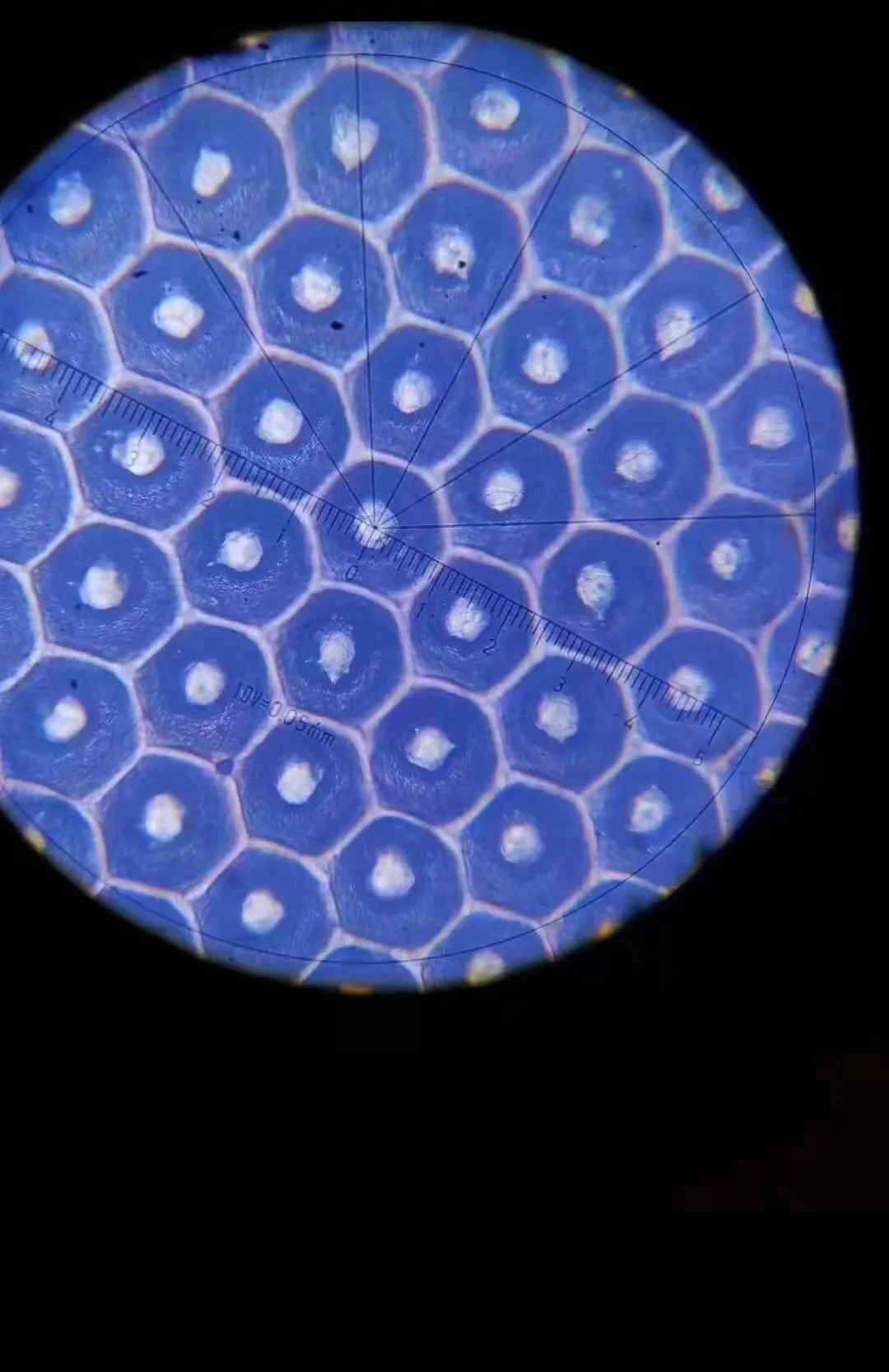 Ceramic Coating Anilox Rollers for Flexographic Printing