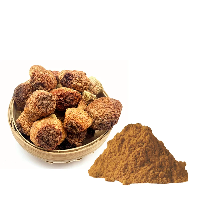 Порошок экстракта грибов Royal Sun Agaricus Blazei 30% бета-глюкан