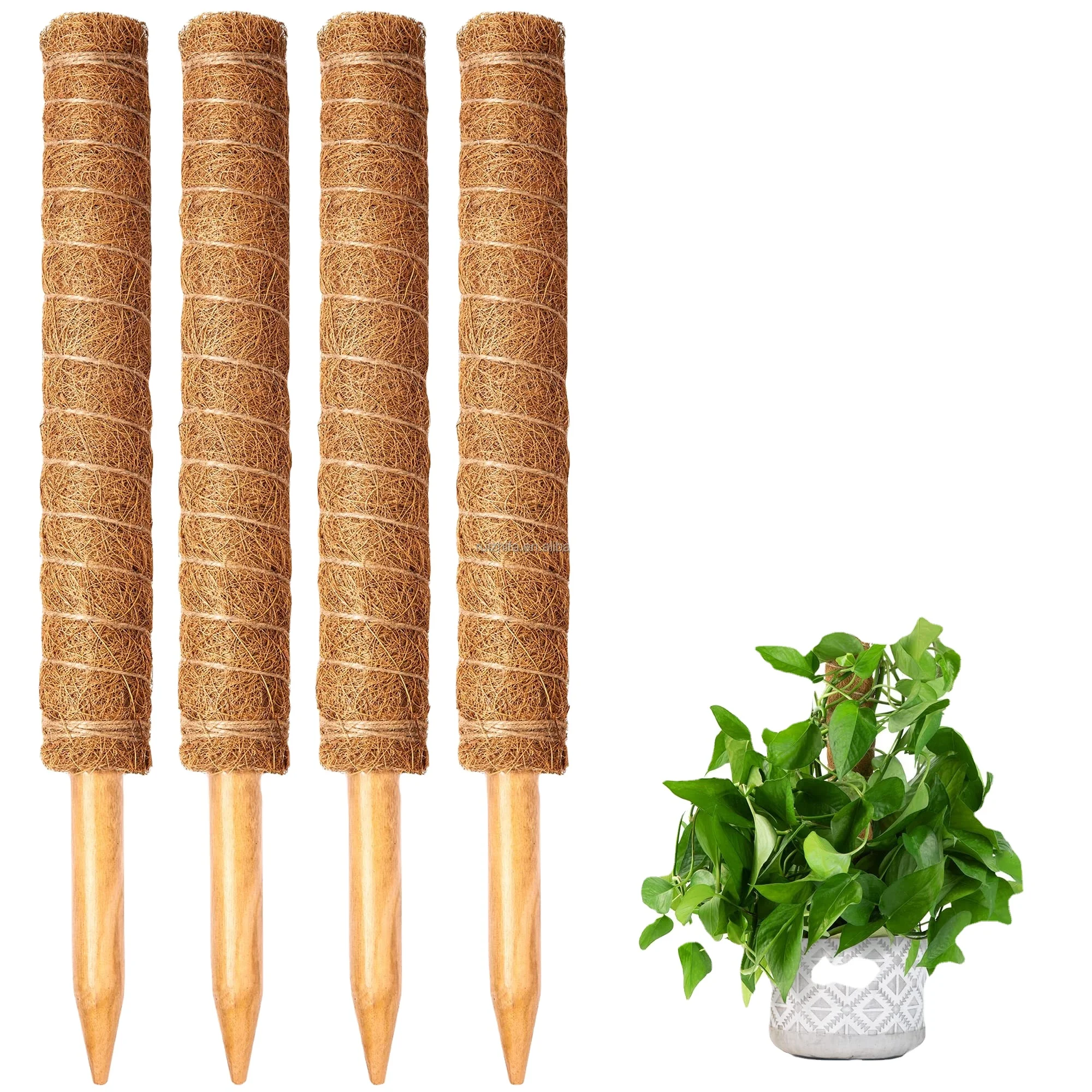 Factory Direct Sales Customization 14 Inch  DIY Shape Garden Plant Support Stakes Coco Coir Moss Poles