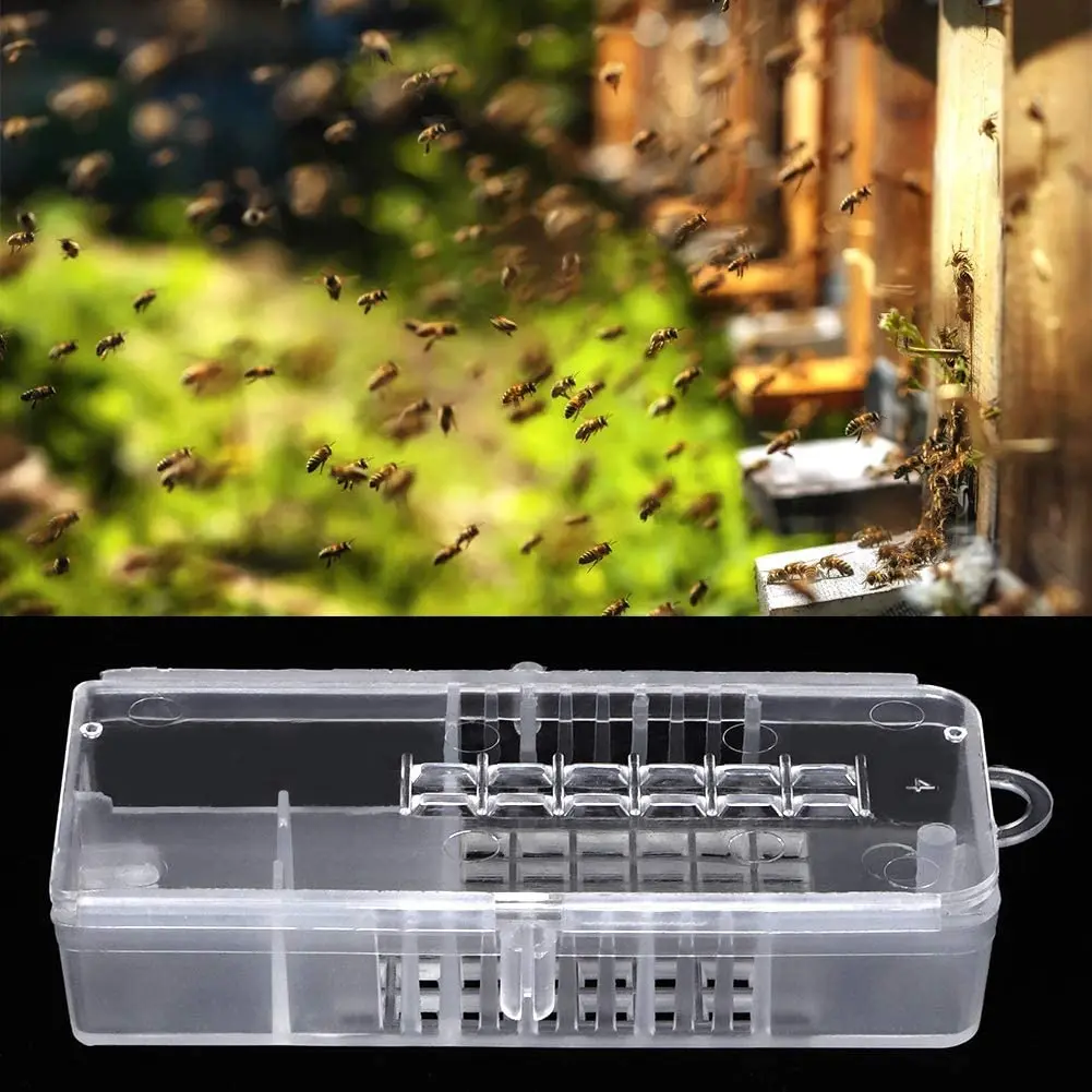 White Transparent  Bee Cages Light Weight Plastic Beekeeping Rearing Cups Kit Bee Queen Cages Beekeeper Equipment Tools
