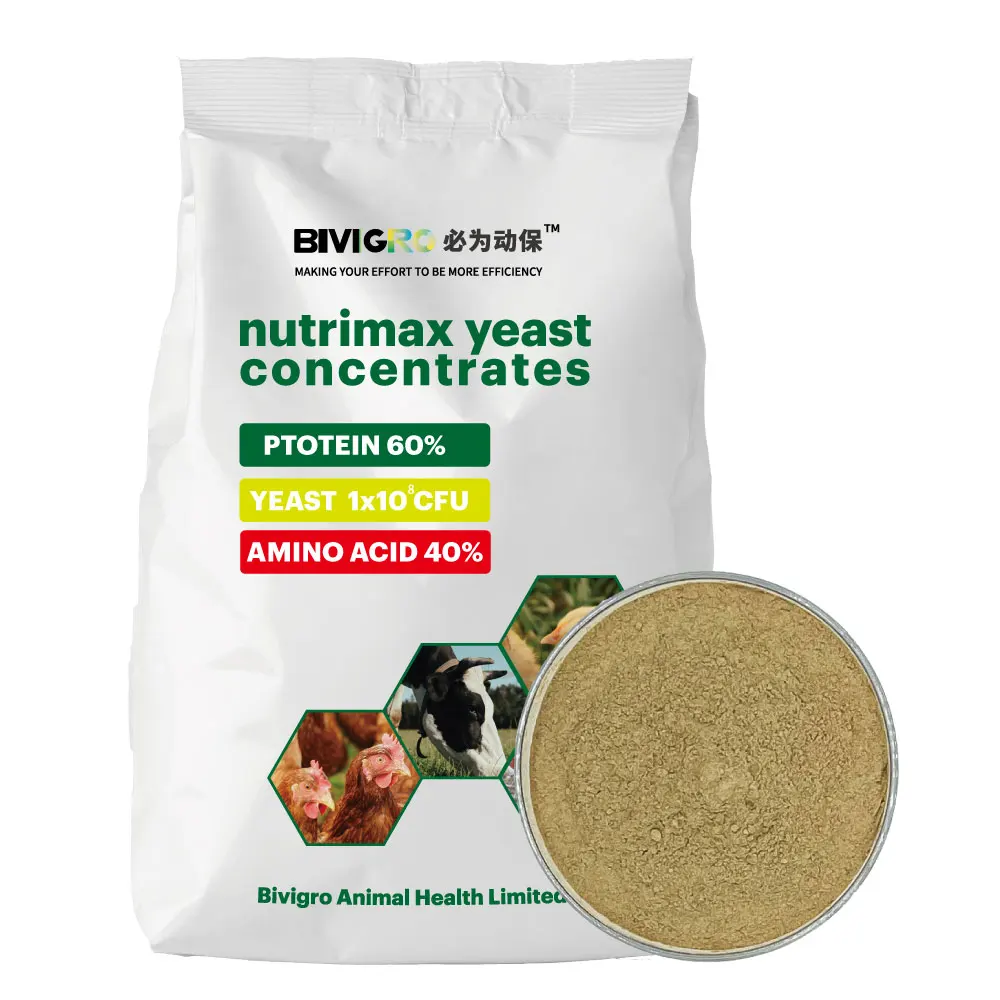 For Growth Promotion Yeast Feed Protein 60% For Supply Nutrition And Probiotic 10x10(11) cfu/g