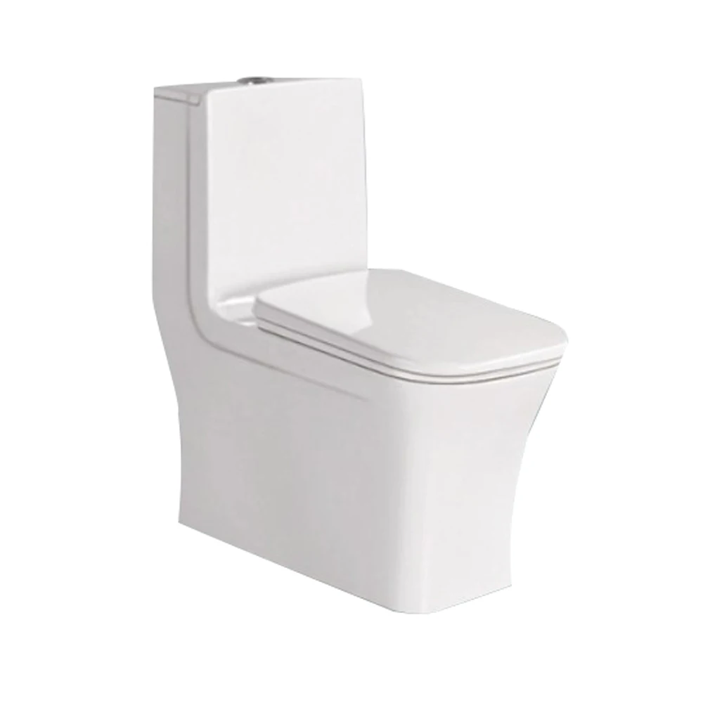 Ceramic One Piece Toilet Water Saving Big Impact 2023 Hot Sale White Cover Seat Bathroom S-trap WC Siphonic Water Closet
